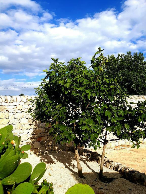 Masseria Ciancio Casa Serrafiori Bagian luar foto